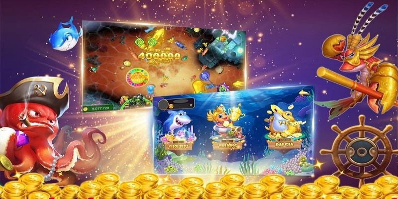 Cấp độ dành cho người mới