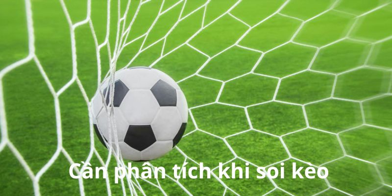 Cá cược thể thao J88