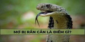 Mơ thấy bị rắn cắn