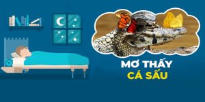 Mơ thấy cá sấu