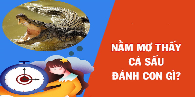 Những con số may mắn khi mơ gặp cá sấu