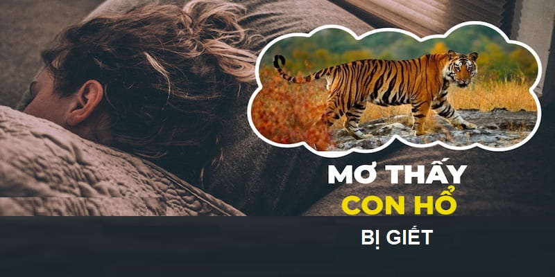Giết hổ là giấc chiêm bao báo hiệu một tương lai tốt lành