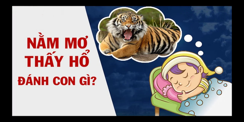Cơ hội đổi đời với con số liên quan đến mơ thấy hổ